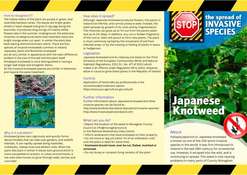 The Spread of Invasive Species
