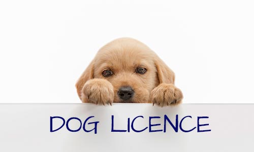 Dog Licence Icon