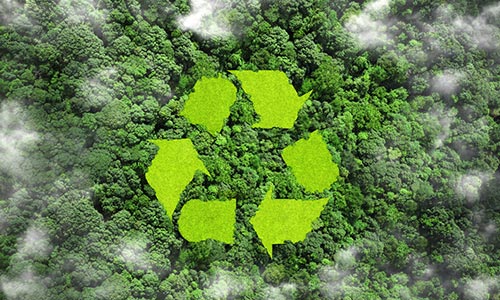 Environmental Awareness Icon