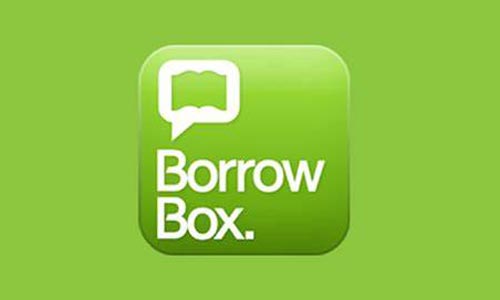 Borrow Box Icon