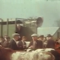 Tydavnet Show at Urbleshanny