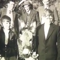 Tydavnet Show - Donkey Races