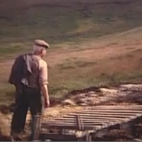 Working on Bragan Bog c. mid 1950s