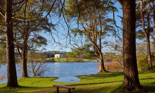 Image of Lough Muckno