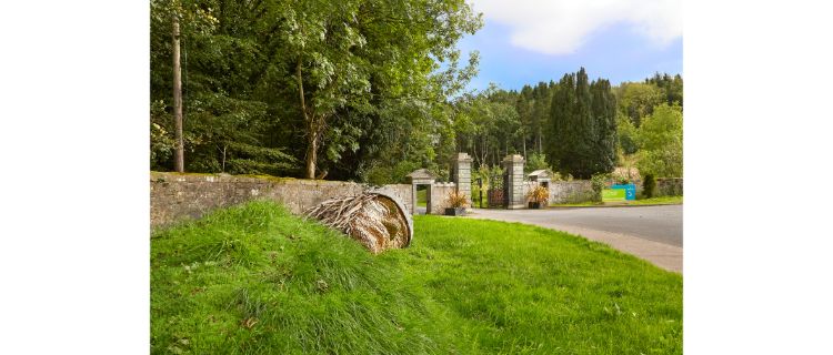 Rossmore Forest Park Entrance With Banba Giant Sculpture