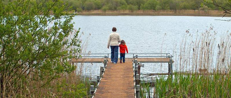 Development of walking trails in Ballybay