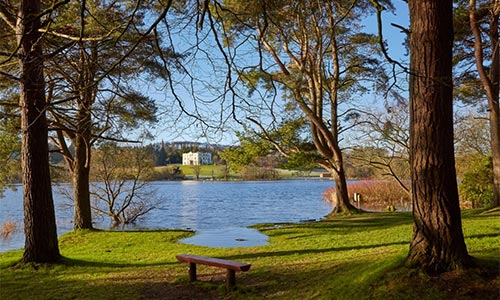 Lough Muckno Plan