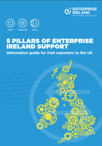 5 Pillars of Enterprise Ireland Suppor