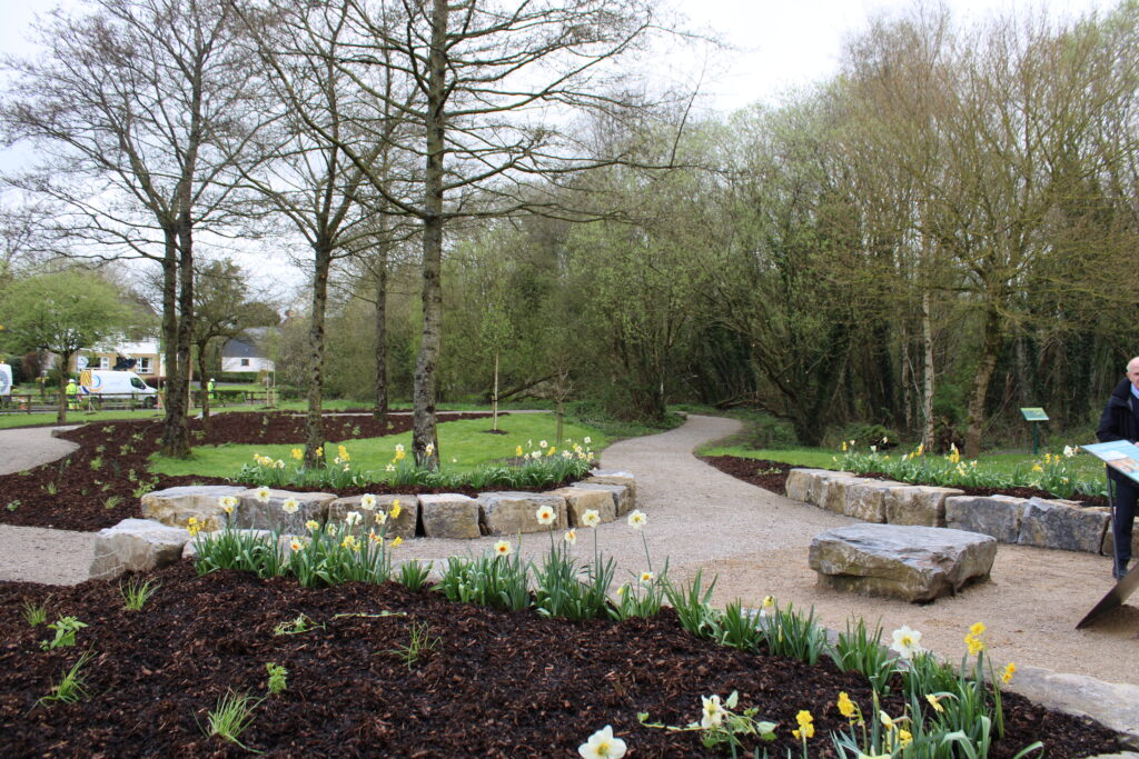 Bog Garden Along The Ulster Canal, Monaghan Launched And Complete 