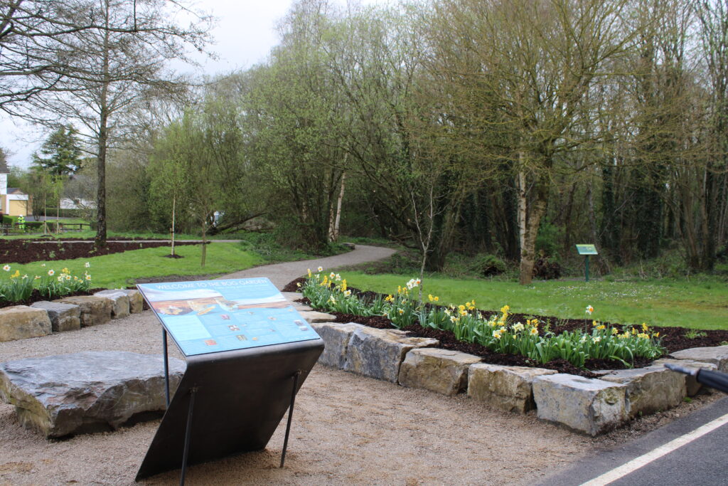 Bog Garden Along The Ulster Canal, Monaghan Launched And Complete 