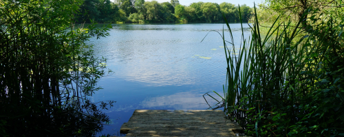 Image of Bathing Water