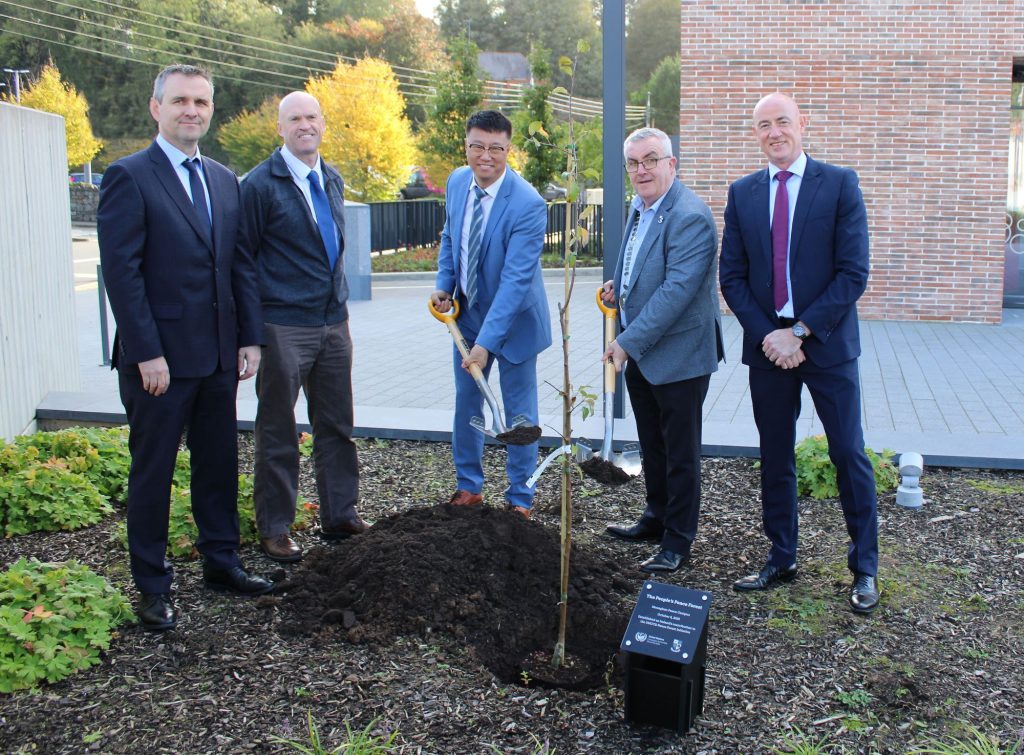 Peace Forest Initiative tree planting