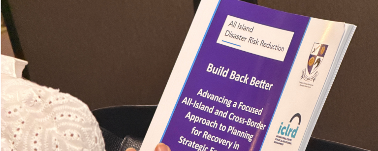 Build Back Better Report